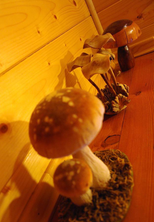 Chalet House Olga Crni Lug Room photo